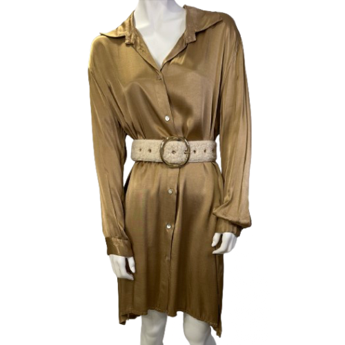 Vestido Seda Tipo Camisa - Dourado e Verde Dourado