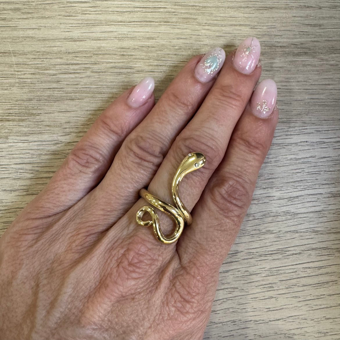 Anel Inox Serpente Simples VARIEDADES (Prateado/Dourado)