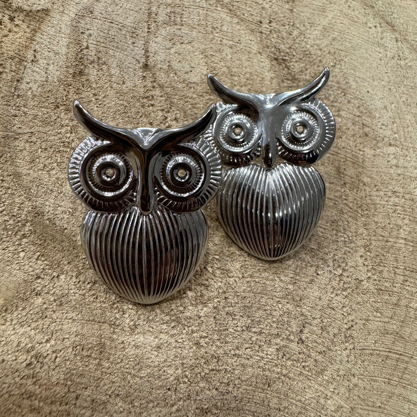 Brincos Coruja Grande Prateado