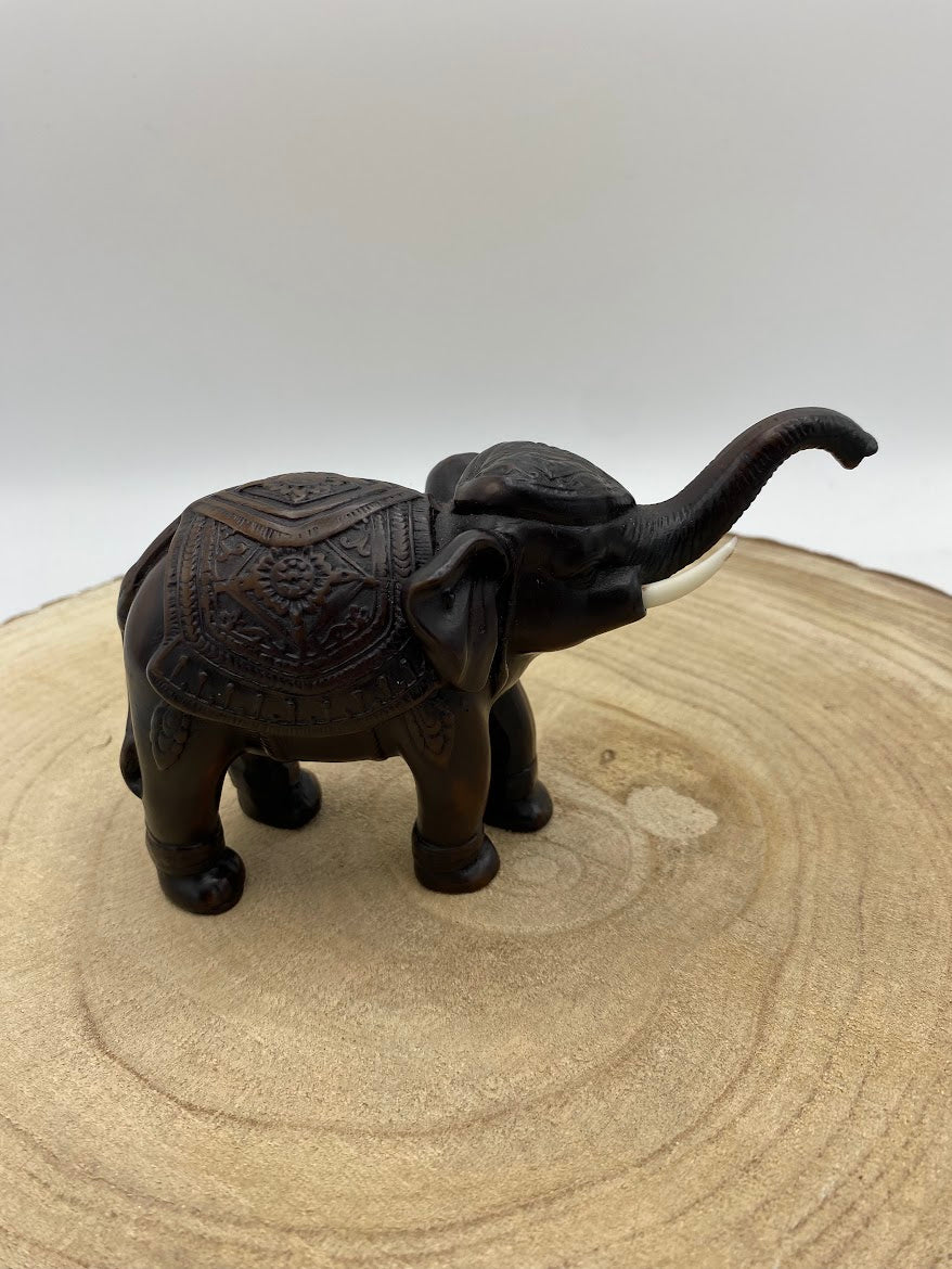Elefante de Madeira (Variedades) Tipo C
