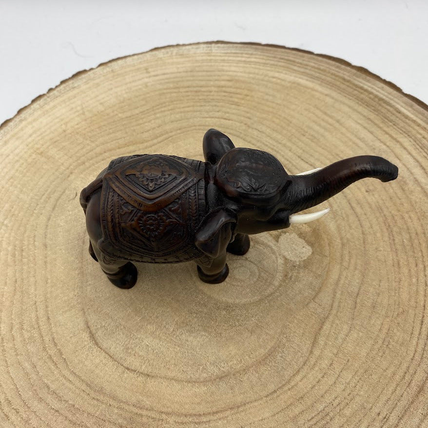 Elefante de Madeira (Variedades) Tipo C