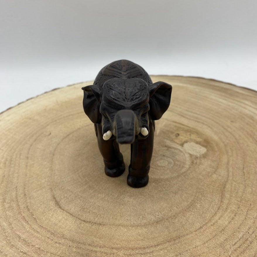 Elefante de Madeira (Variedades) Tipo C