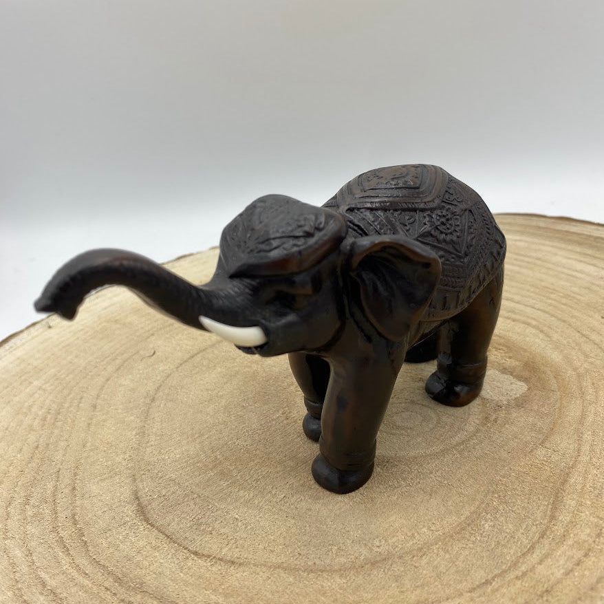 Elefante de Madeira (Variedades) Tipo C