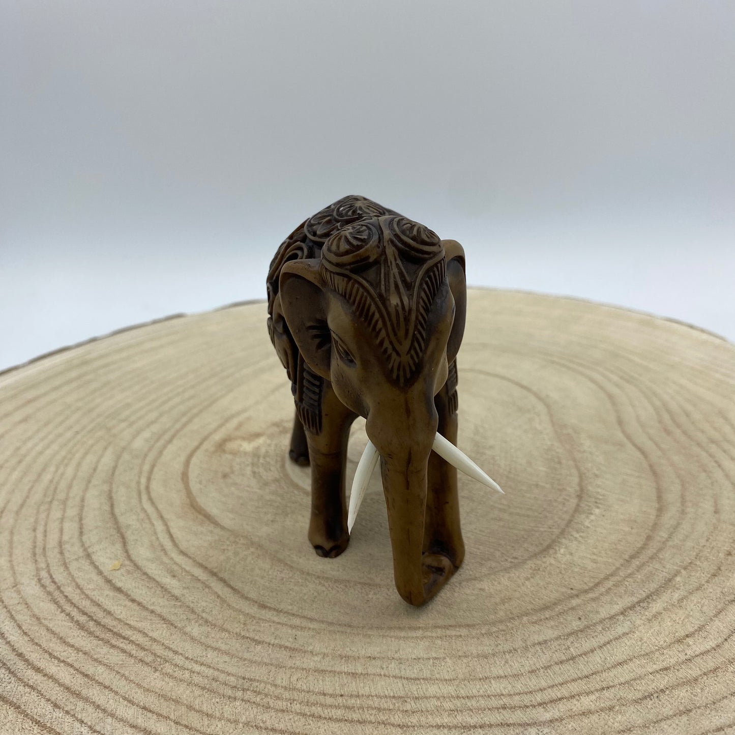 Elefante de Madeira (Variedades) Tipo C