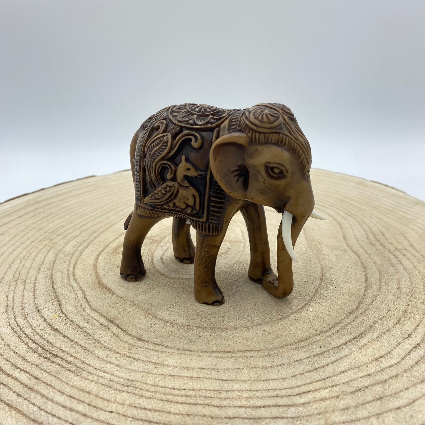 Elefante de Madeira (Variedades) Tipo C