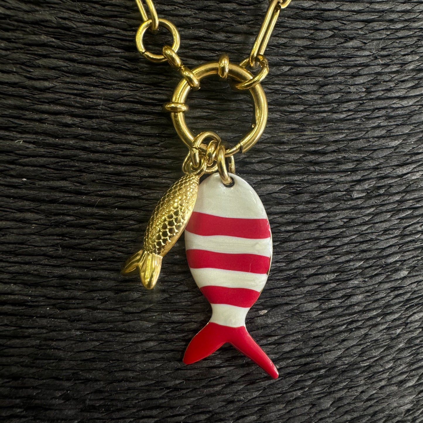 Fio Inox, Peixe Vermelho e Branco