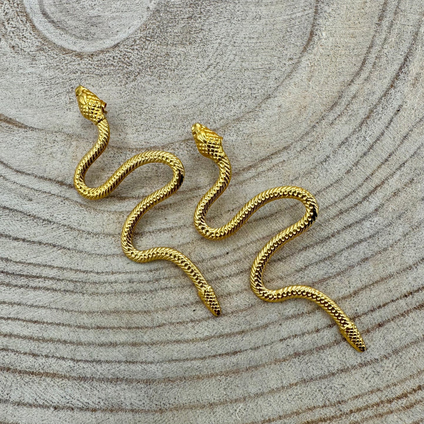 Brincos Cobras Douradas/Prateadas