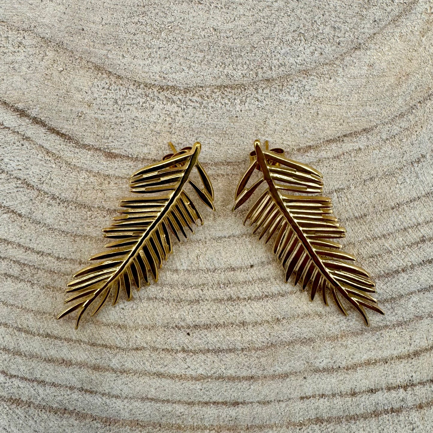 Brincos Folhas (Variantes)