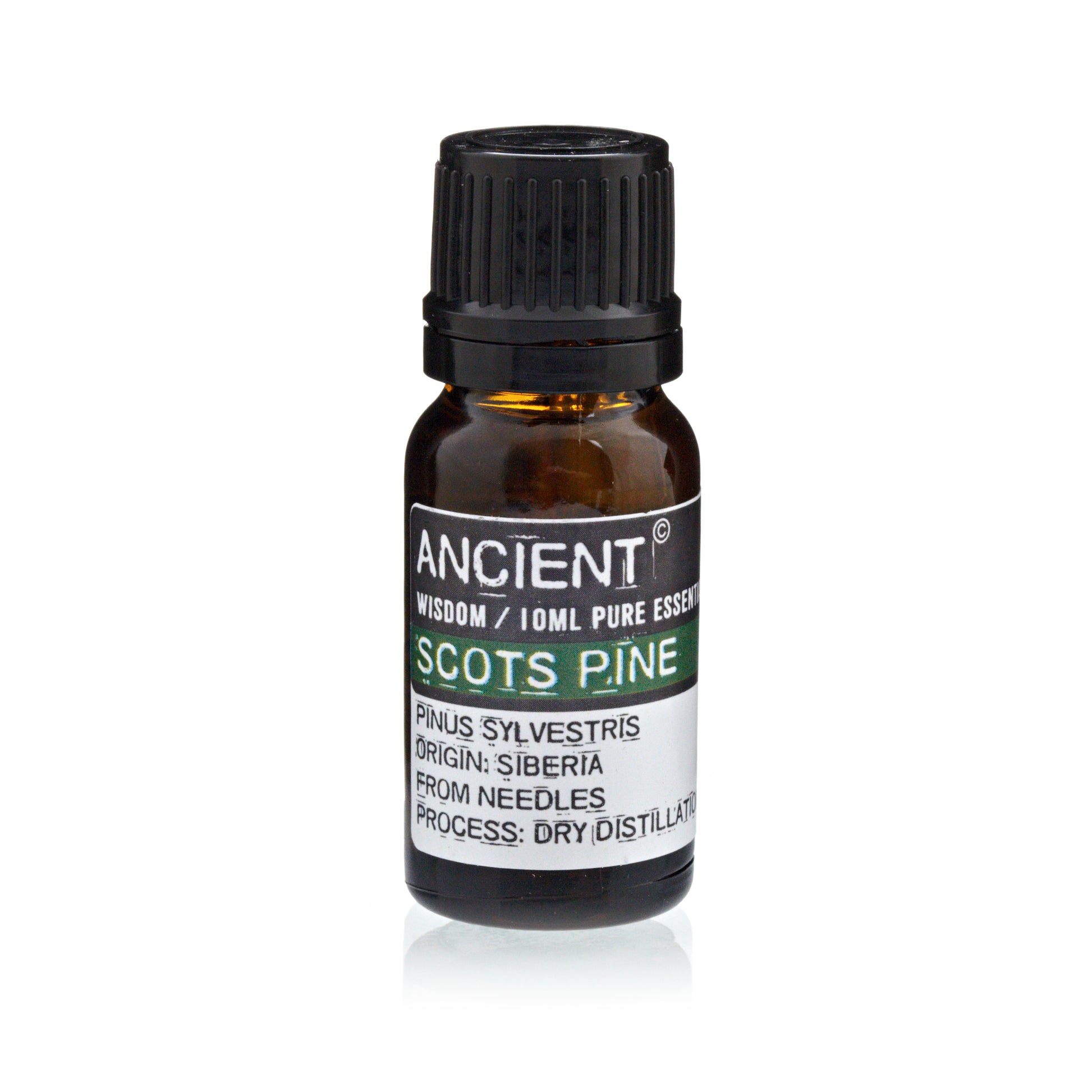 Óleo Essencial Pinho Silvestre (PIne Sylvestris) 10ml - Essencia Pura