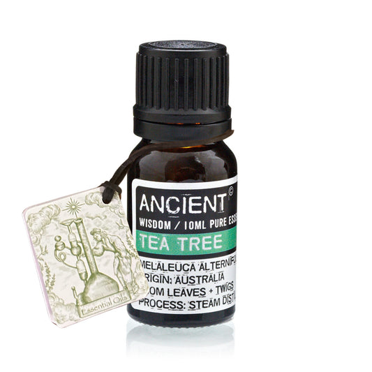 Óleo Essencial Melaleuca/Tea Tree - Essencia Pura
