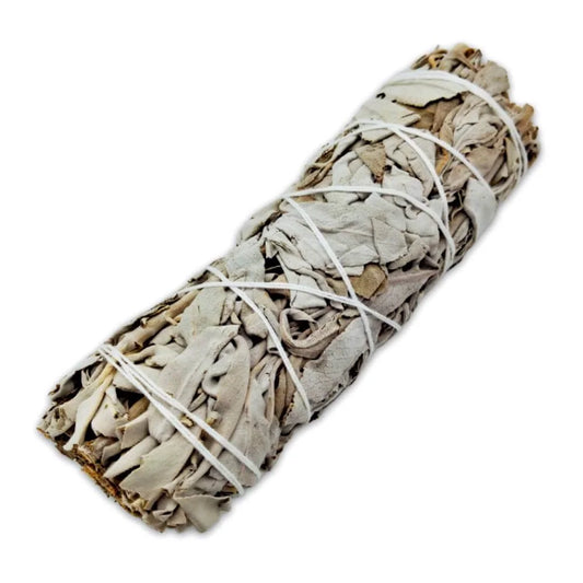 Salvia Branca Tocha Defumação (9cm)