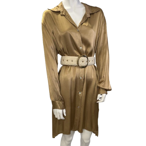 Vestido Seda Tipo Camisa - Dourado e Verde Dourado