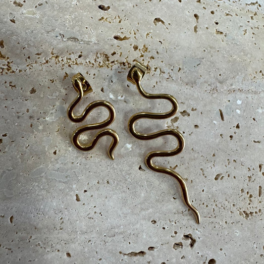 Brincos de Cobras VARIEDADES (Dourado/Prateado)