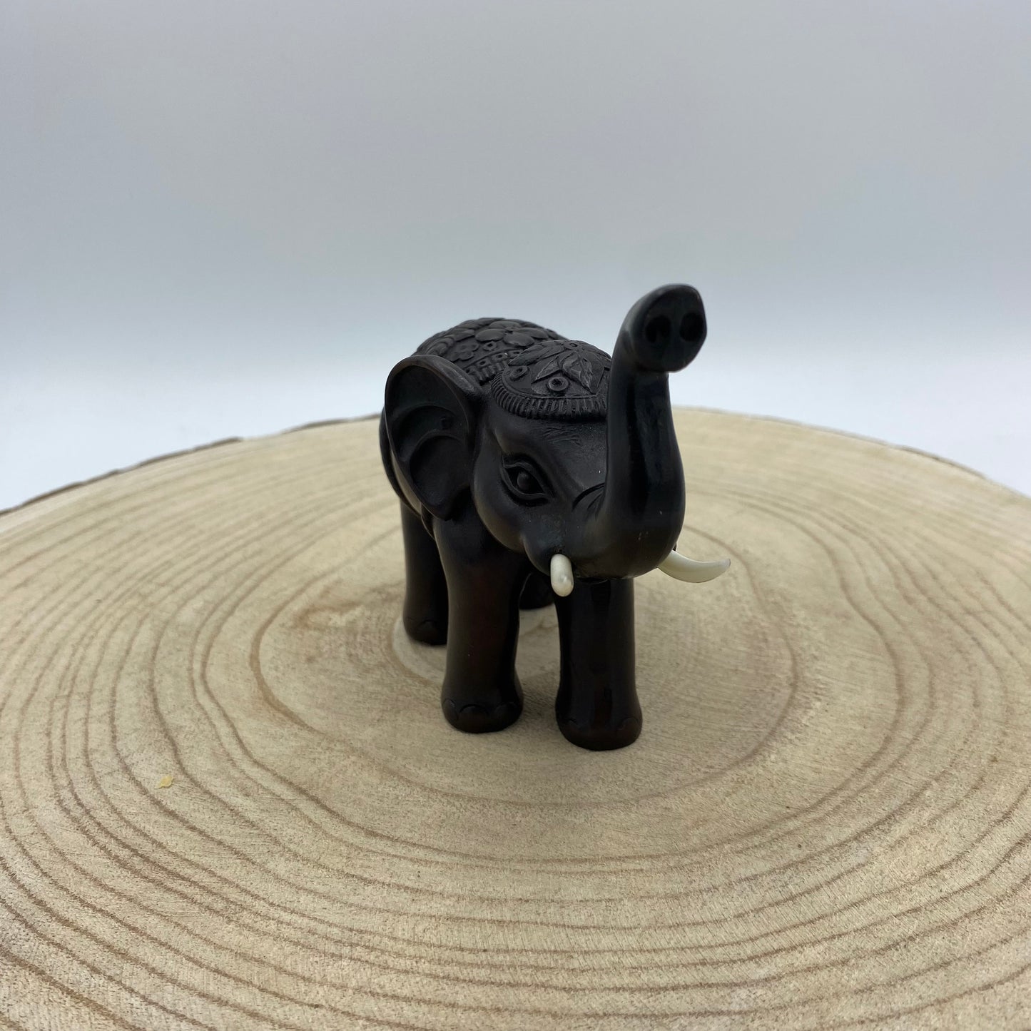 Elefante de Madeira (Variedades) Tipo C