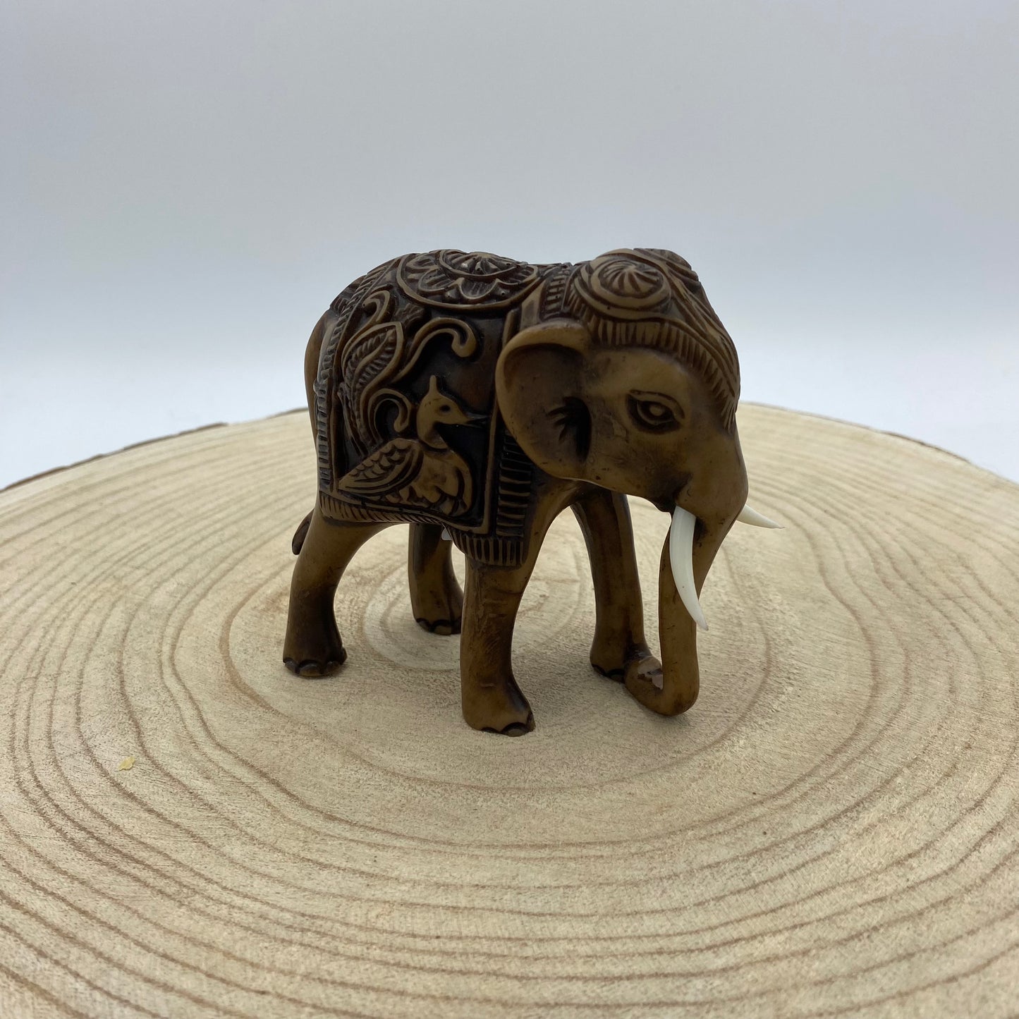 Elefante de Madeira (Variedades) Tipo C