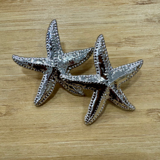 Brincos Inox Estrela Marinha Grande Prateado