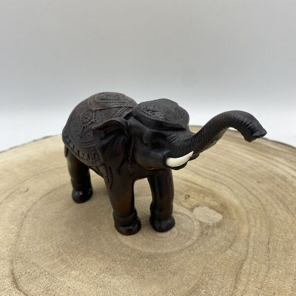 Elefante de Madeira (Variedades) Tipo C